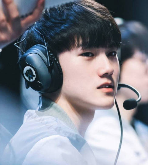 和战术适应 和战术适应